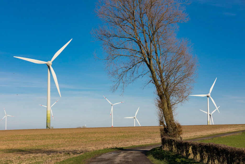 Mehrere Windkraftanlagen auf einem Feld, im Vordergrund ein kahlgeblätterter Baum.